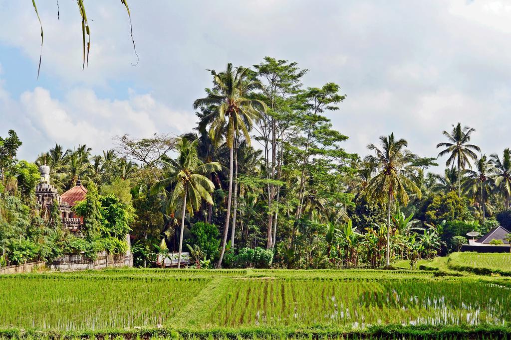 Ubud Kartini Hostel Extérieur photo