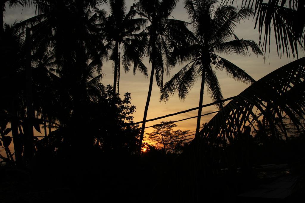 Ubud Kartini Hostel Extérieur photo