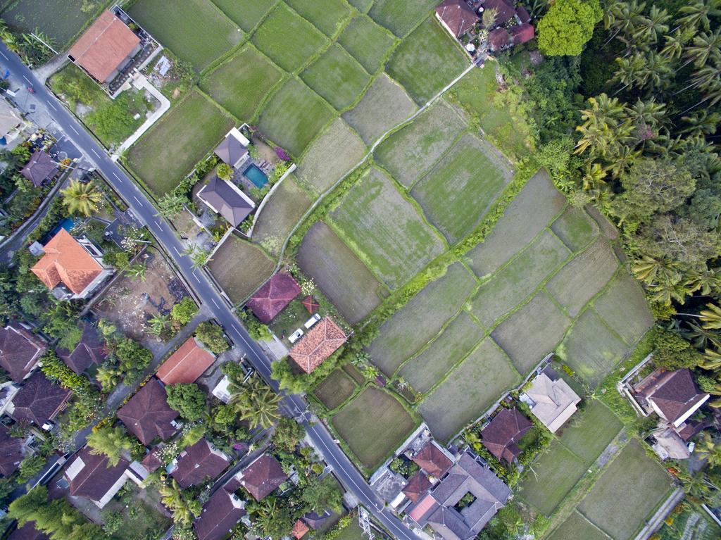 Ubud Kartini Hostel Extérieur photo